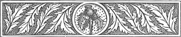 decorative decorative