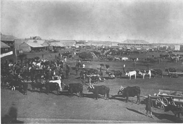 JOHANNESBURG MARKET PLACE. JOHANNESBURG MARKET PLACE.