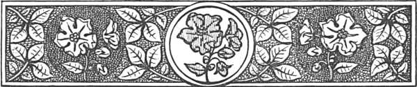 decorative decorative