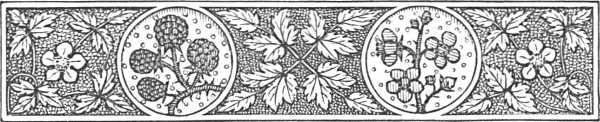 decorative decorative