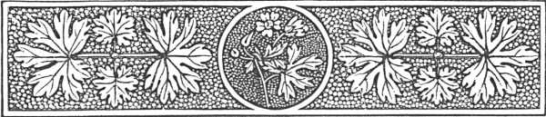 decorative decorative