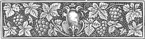 decorative decorative