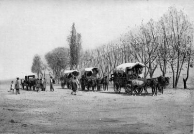 Fourgons on the Russian Road between Resht and Teheran. Fourgons on the Russian Road between Resht and Teheran.