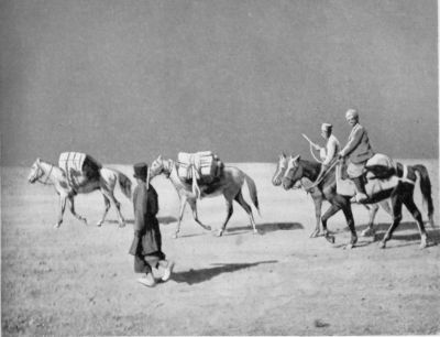 Chapparing—the Author's Post Horses. Chapparing—the Author's Post Horses.