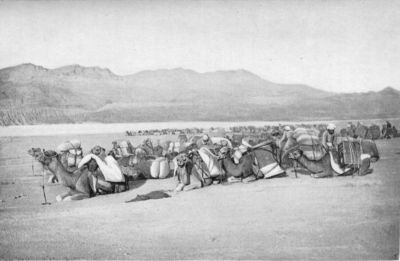 Author's Caravan and Others Halting in the Desert. Author's Caravan and Others Halting in the Desert.
