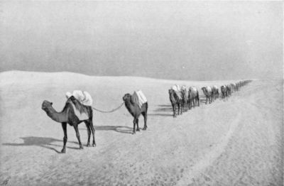 Author's Caravan in the Salt Desert. Author's Caravan in the Salt Desert.