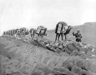 Author's Caravan Descending into River Bed near Darband. Author's Caravan Descending into River Bed near Darband.