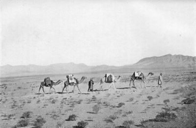 In the Desert. (Tamarisks in the Foreground.) In the Desert. (Tamarisks in the Foreground.)