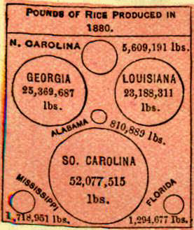 Chart of Rice Production by State - headed by South Carolina