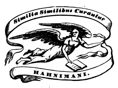 Second decorative image