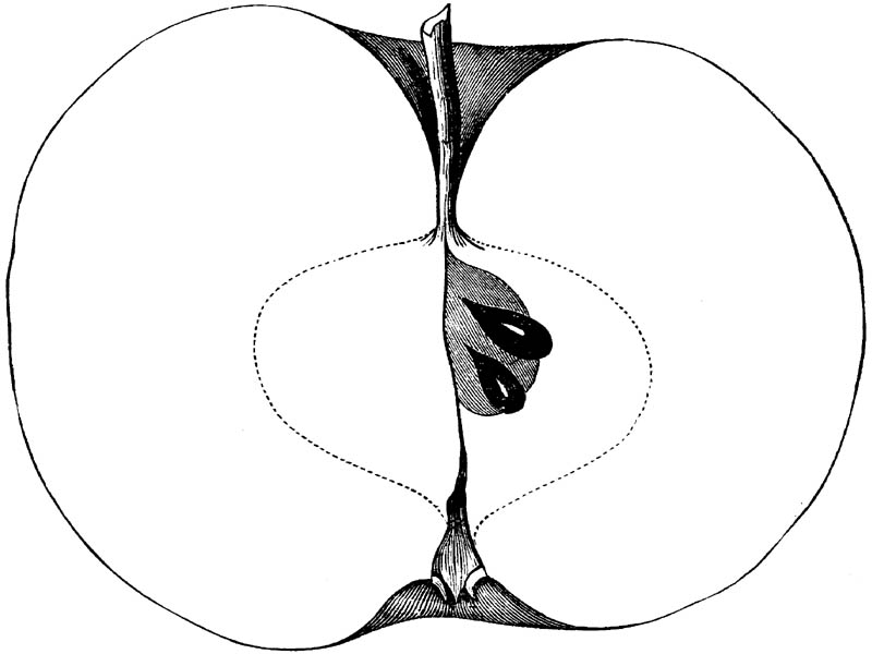 Figure 115.