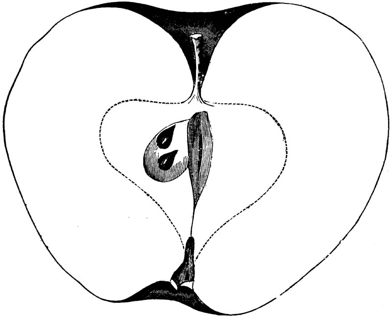 Figure 137.