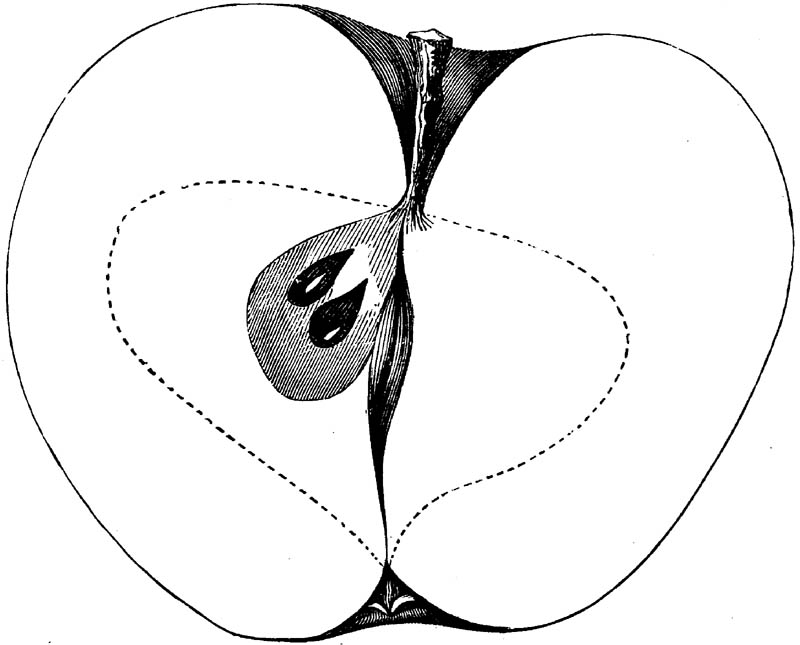Figure 139.