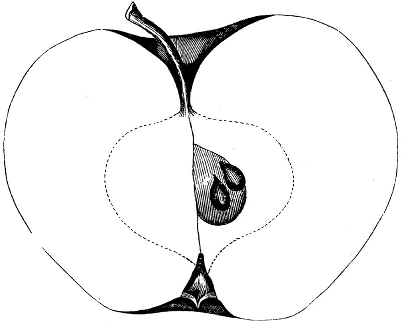 Figure 147.