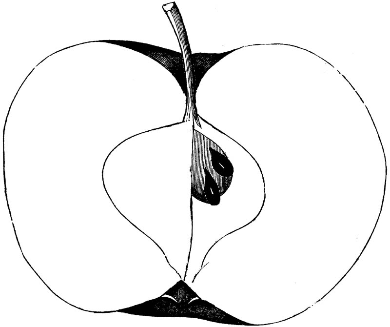 Figure 203.