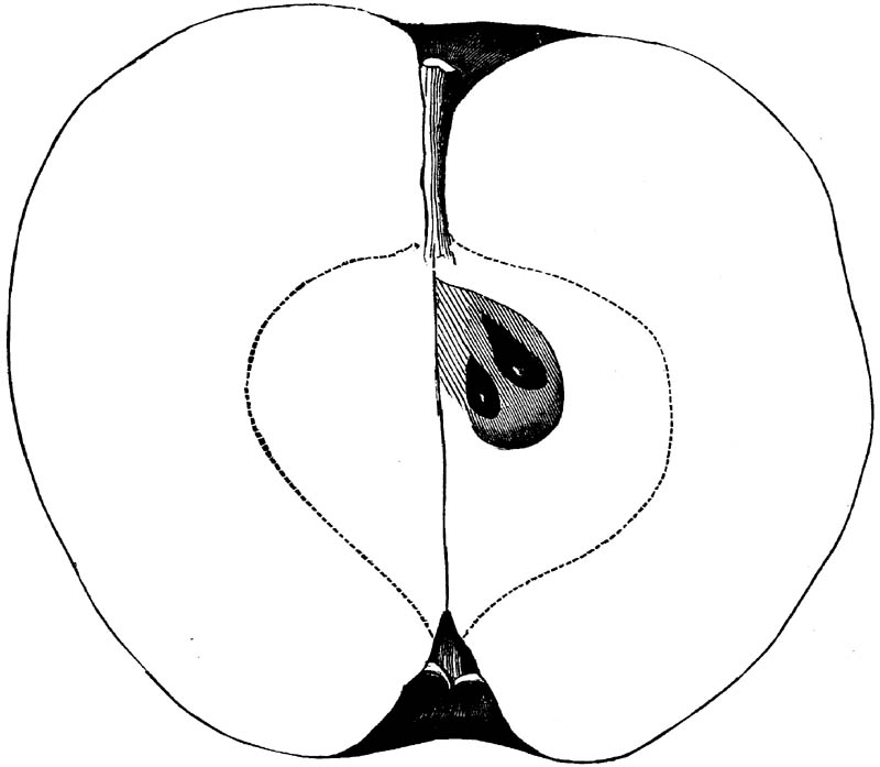 Figure 205.