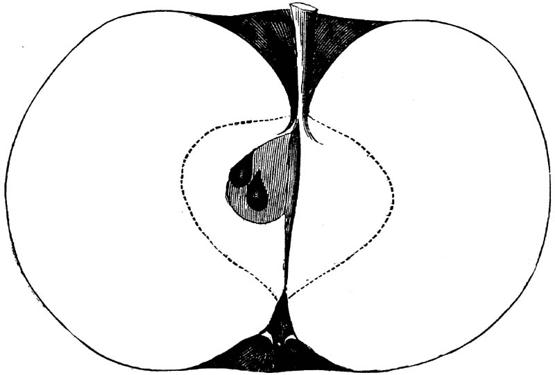 Figure 249.