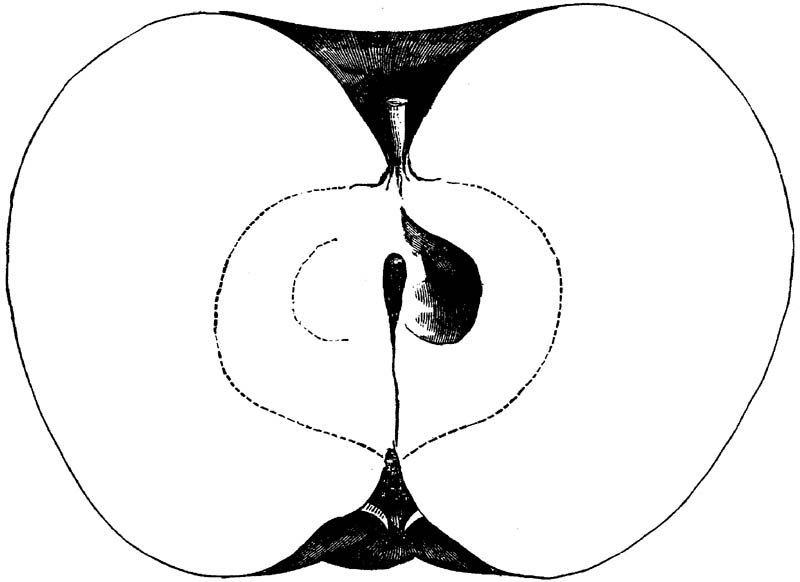 Figure 257.