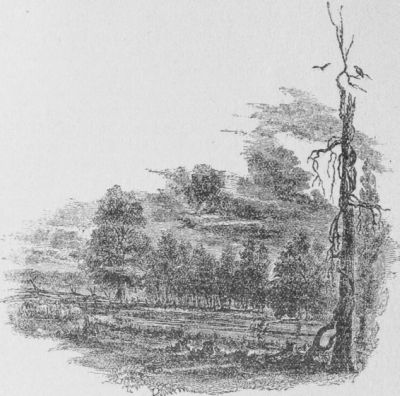 alamance