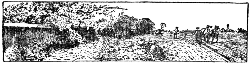 '[Fleuron]’