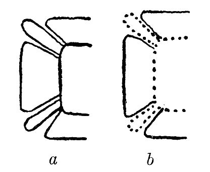 Fig. 72