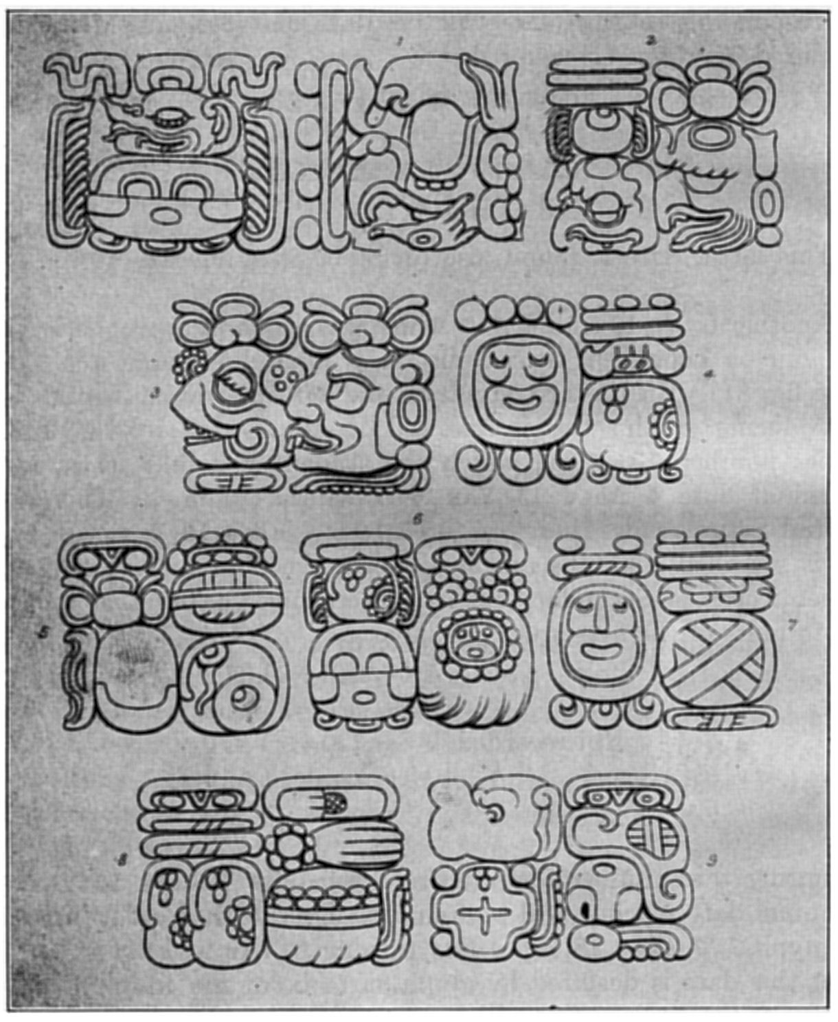 Fig. 81