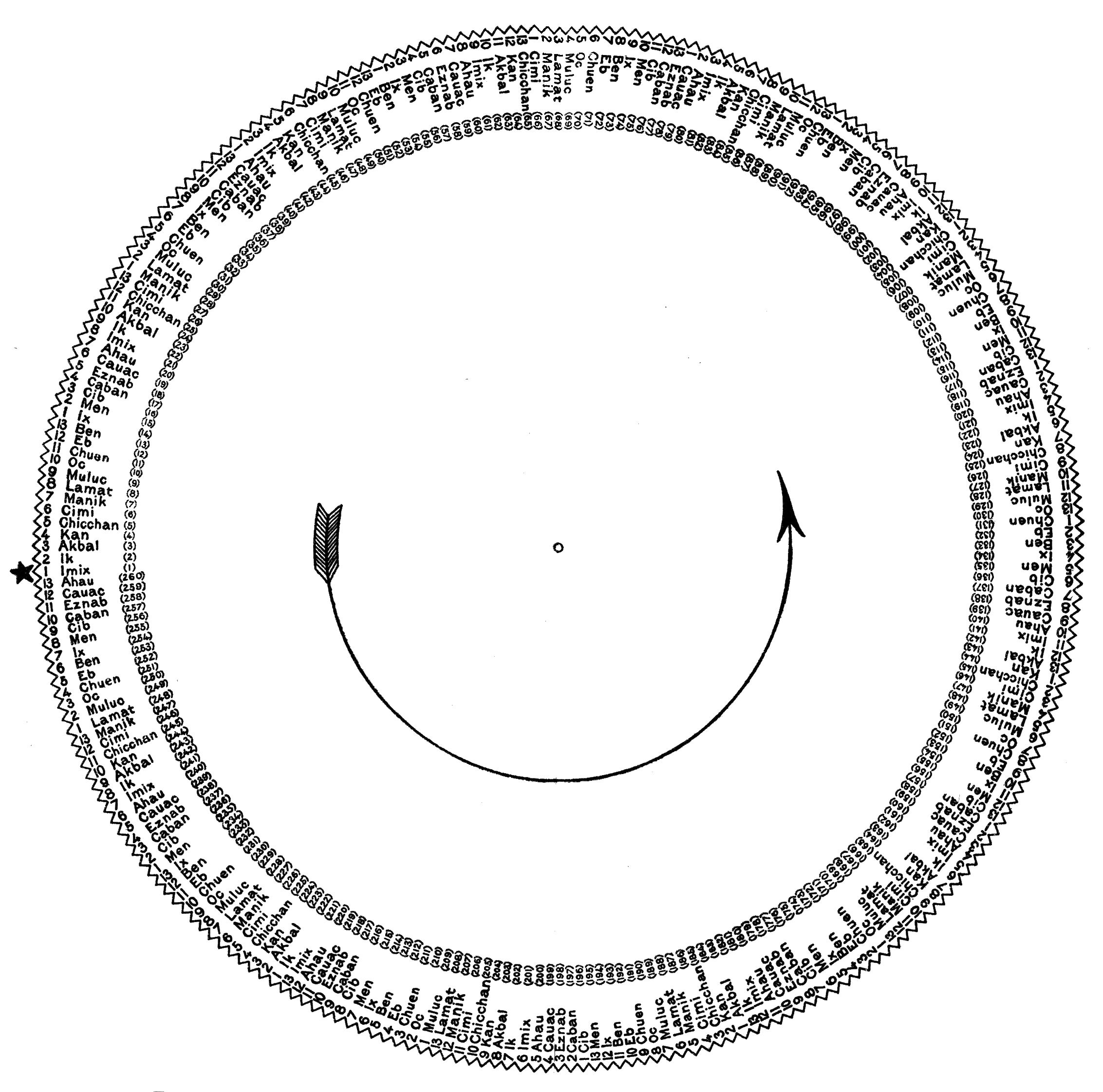 Plate 5