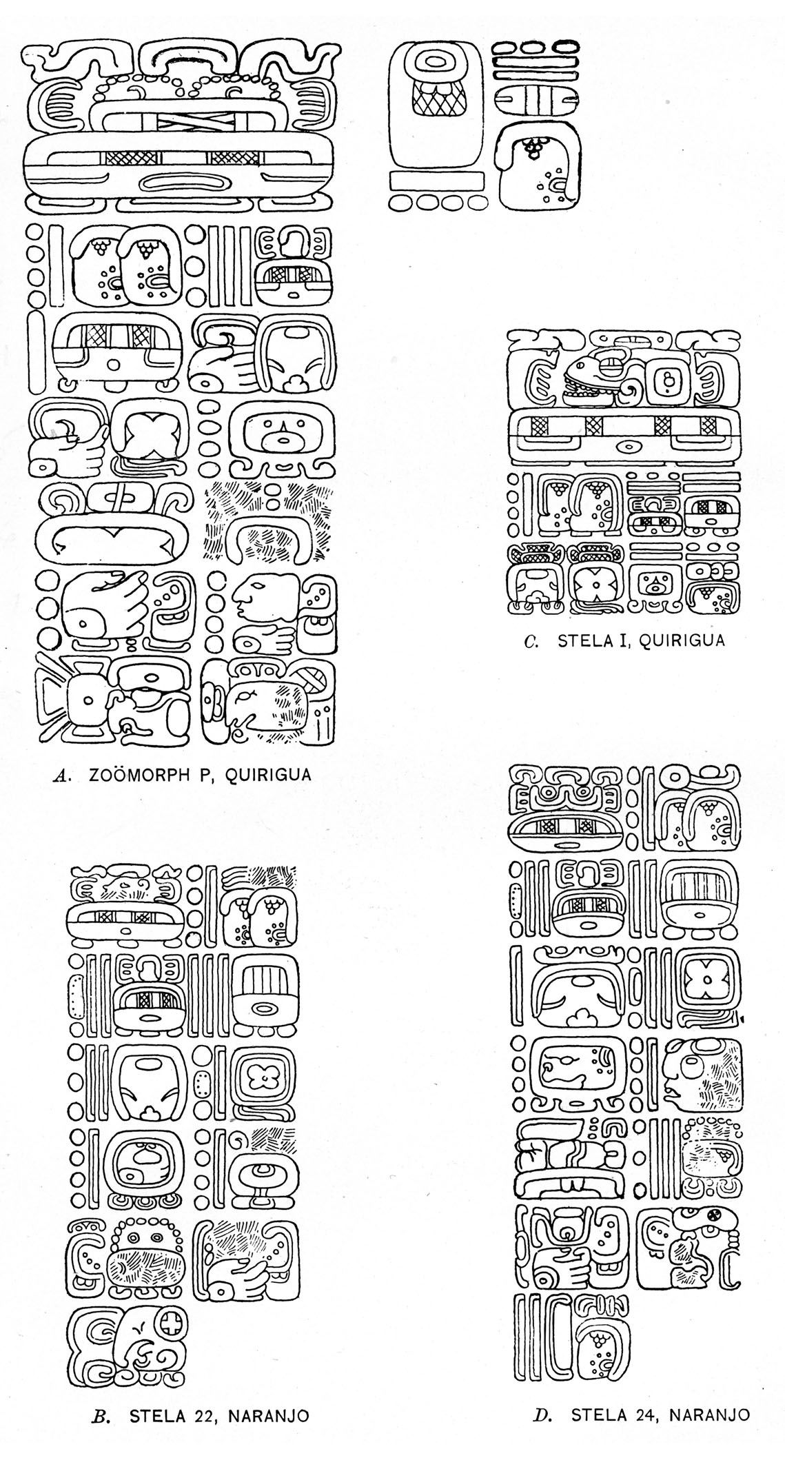 Plate 6