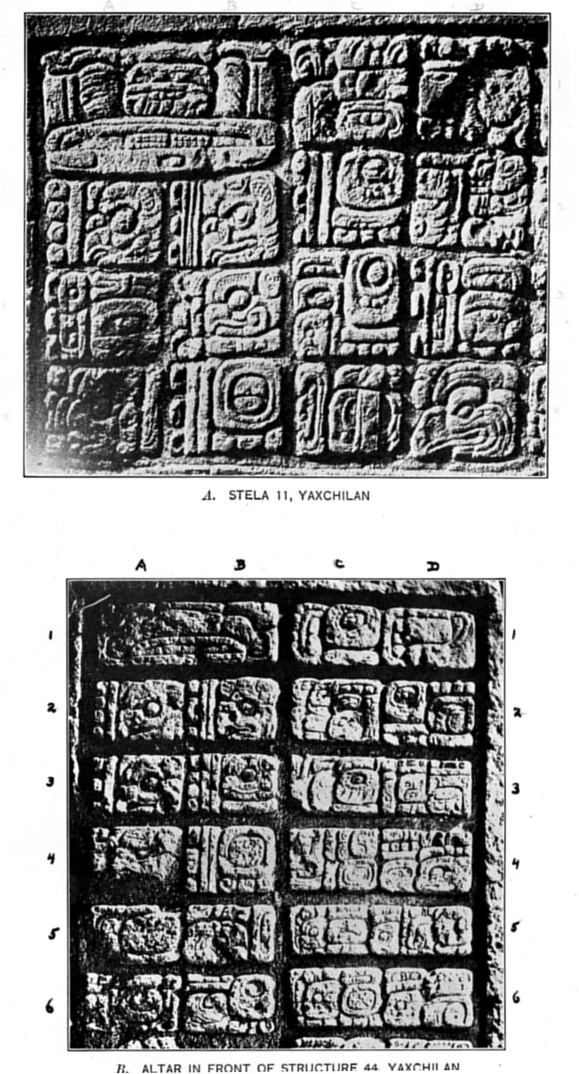 Plate 9