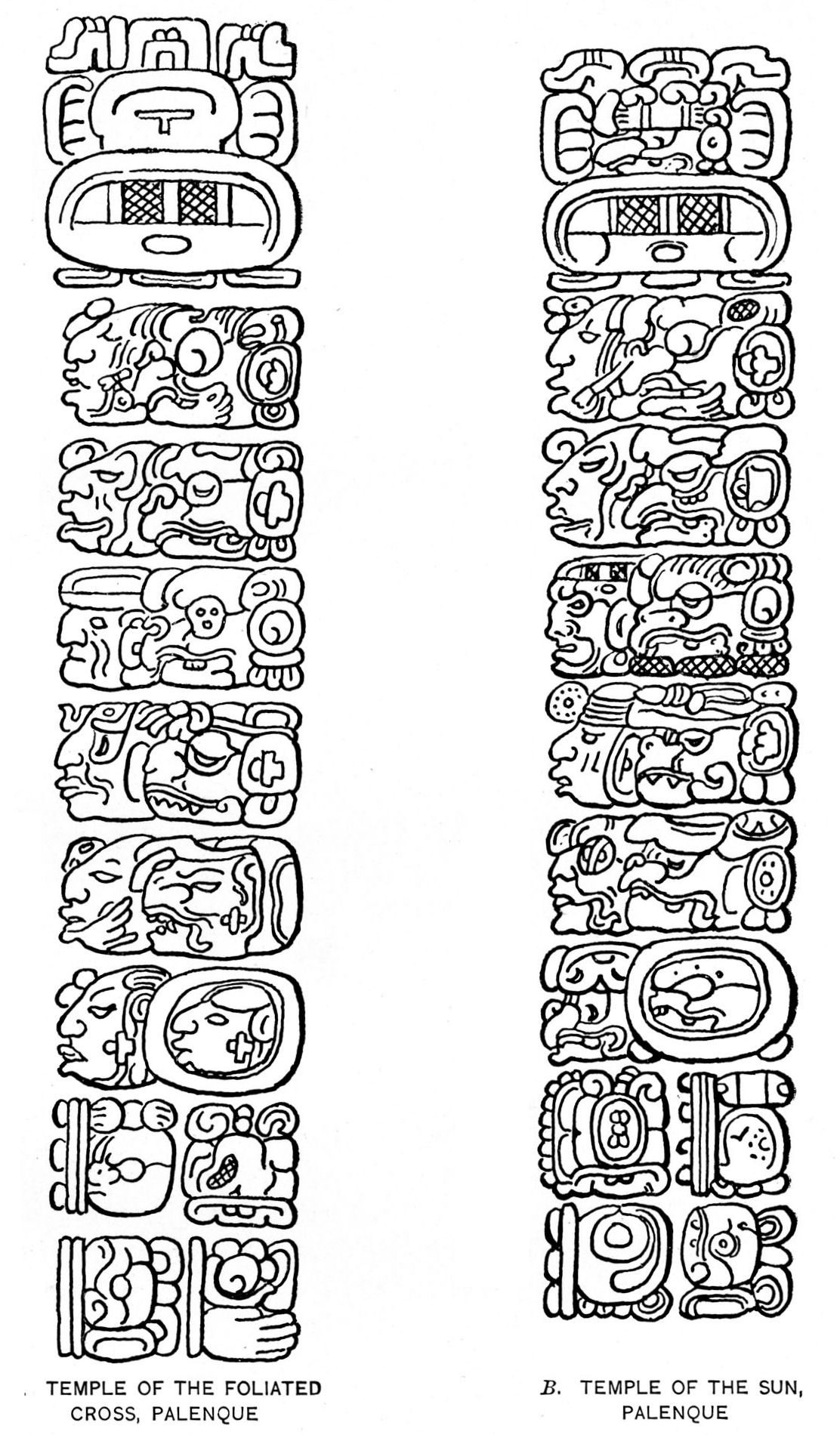Plate 12