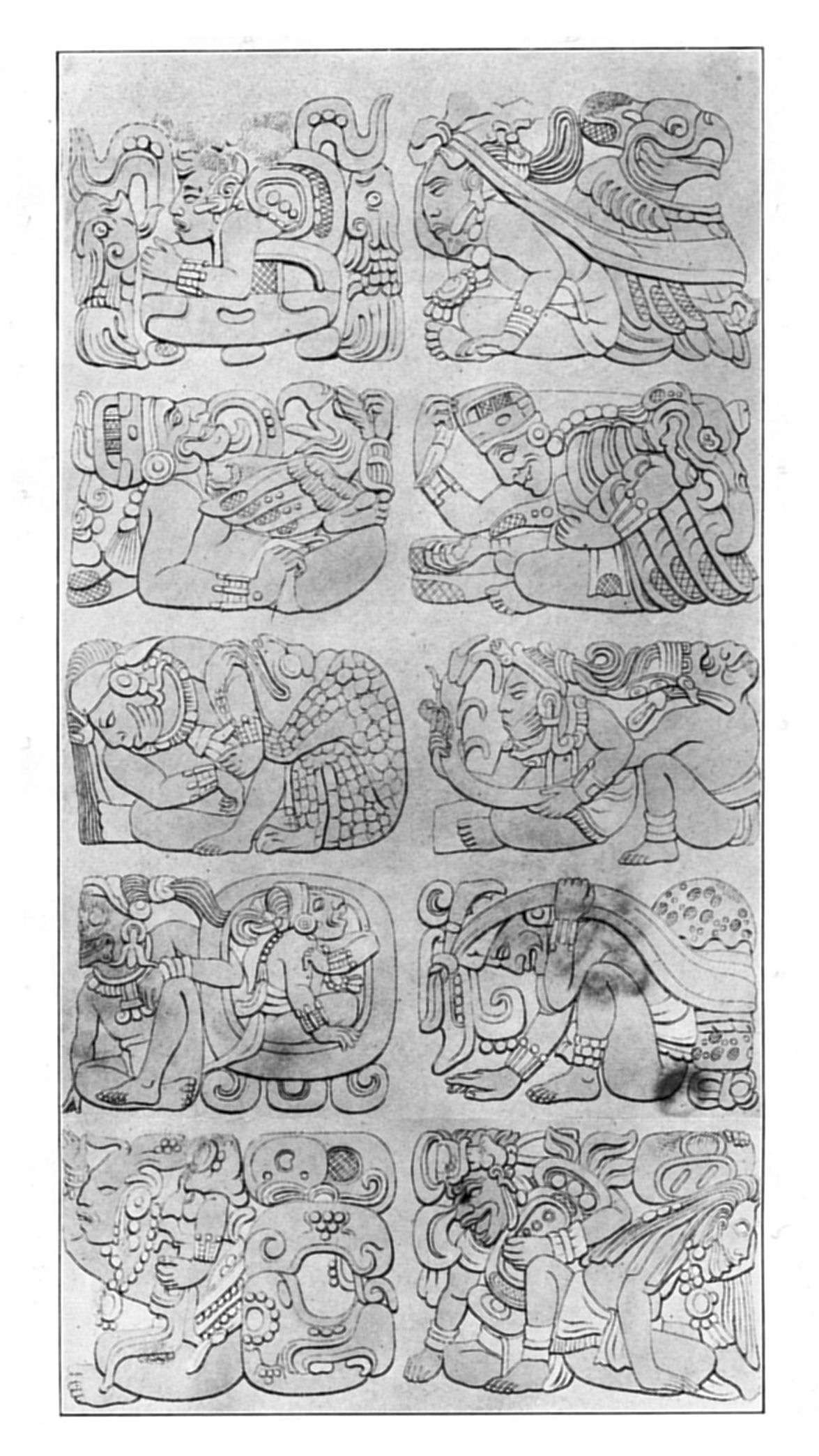 Plate 14