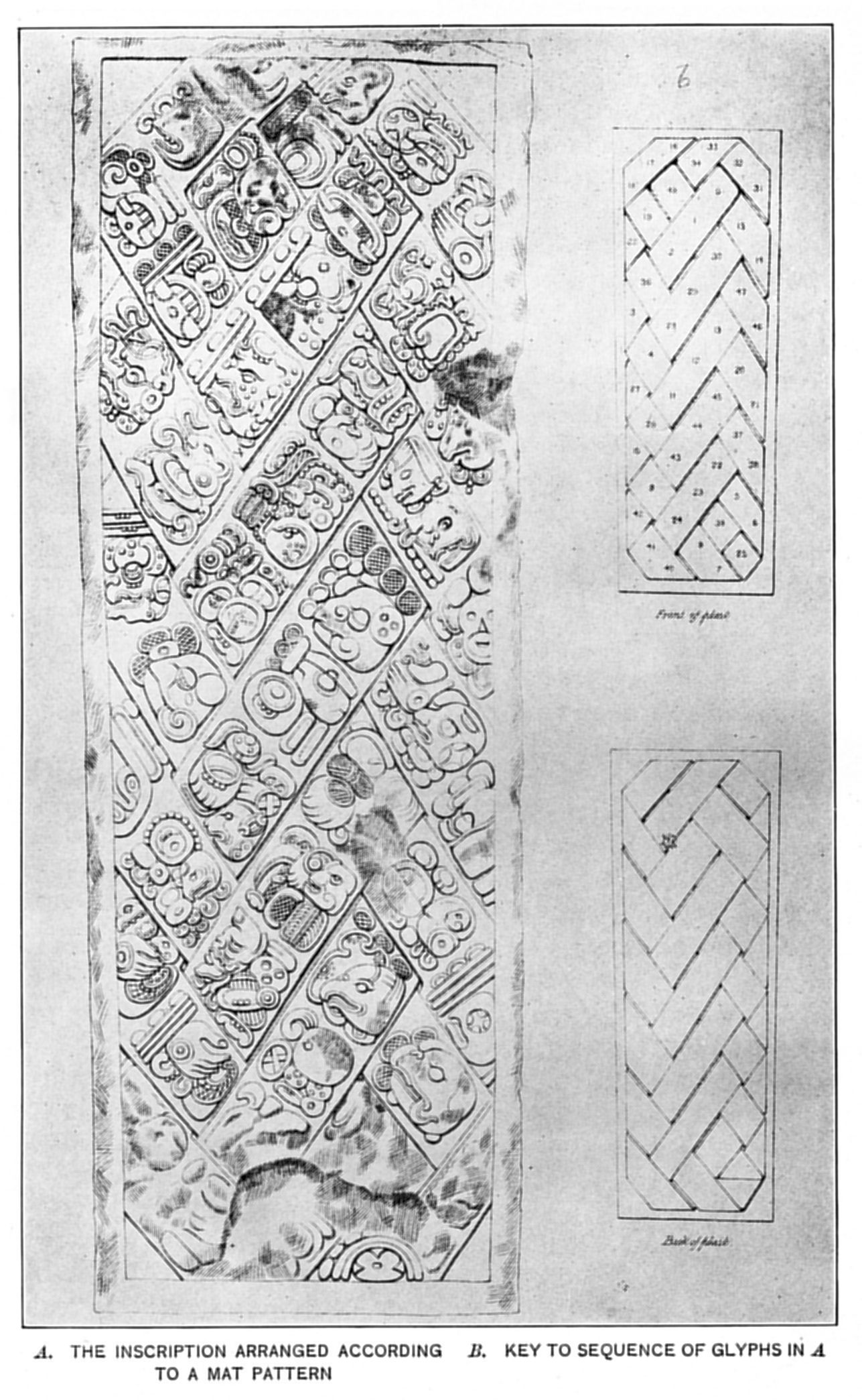 Plate 15