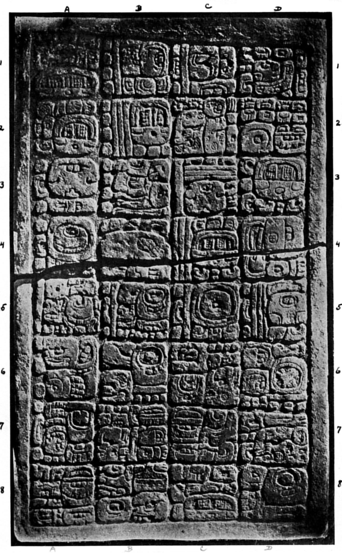 Plate 16