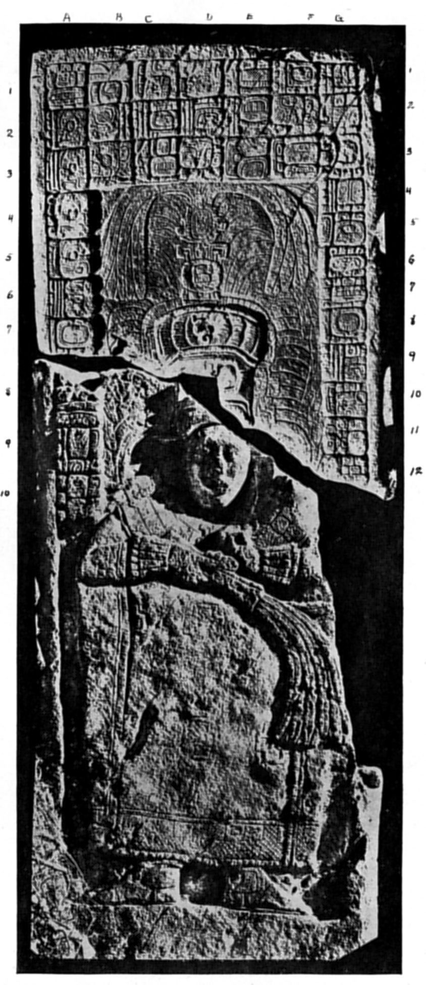 Plate 17