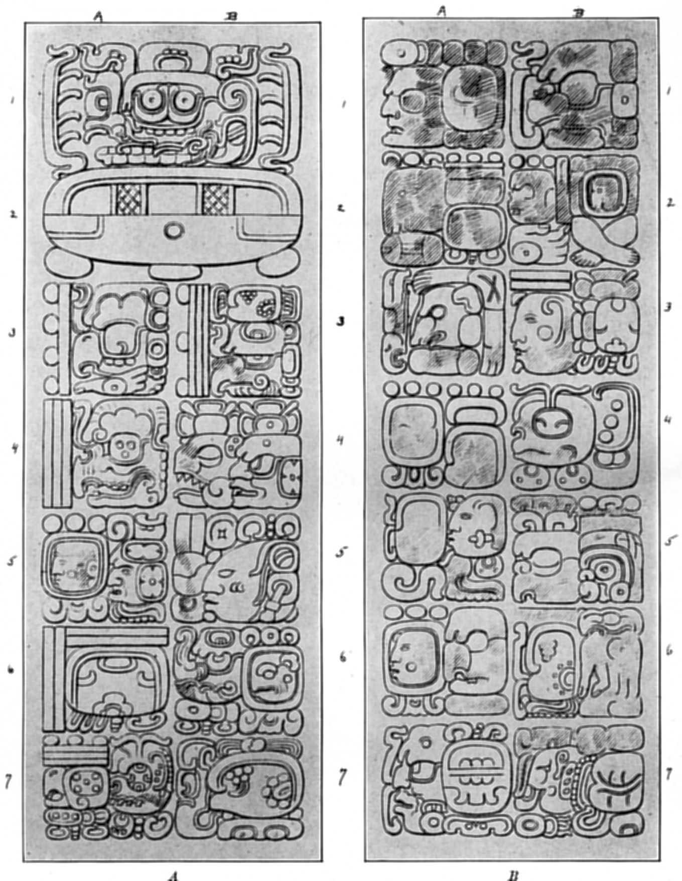 Plate 18
