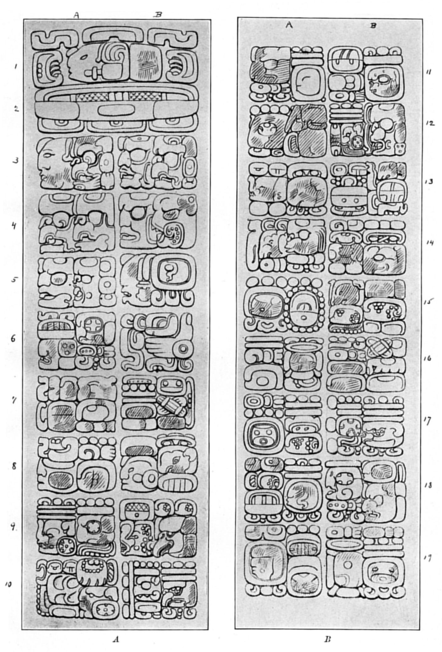 Plate 19