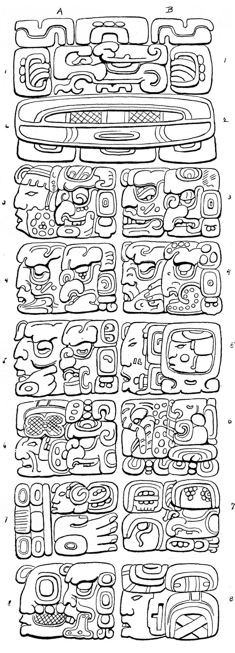 Plate 20
