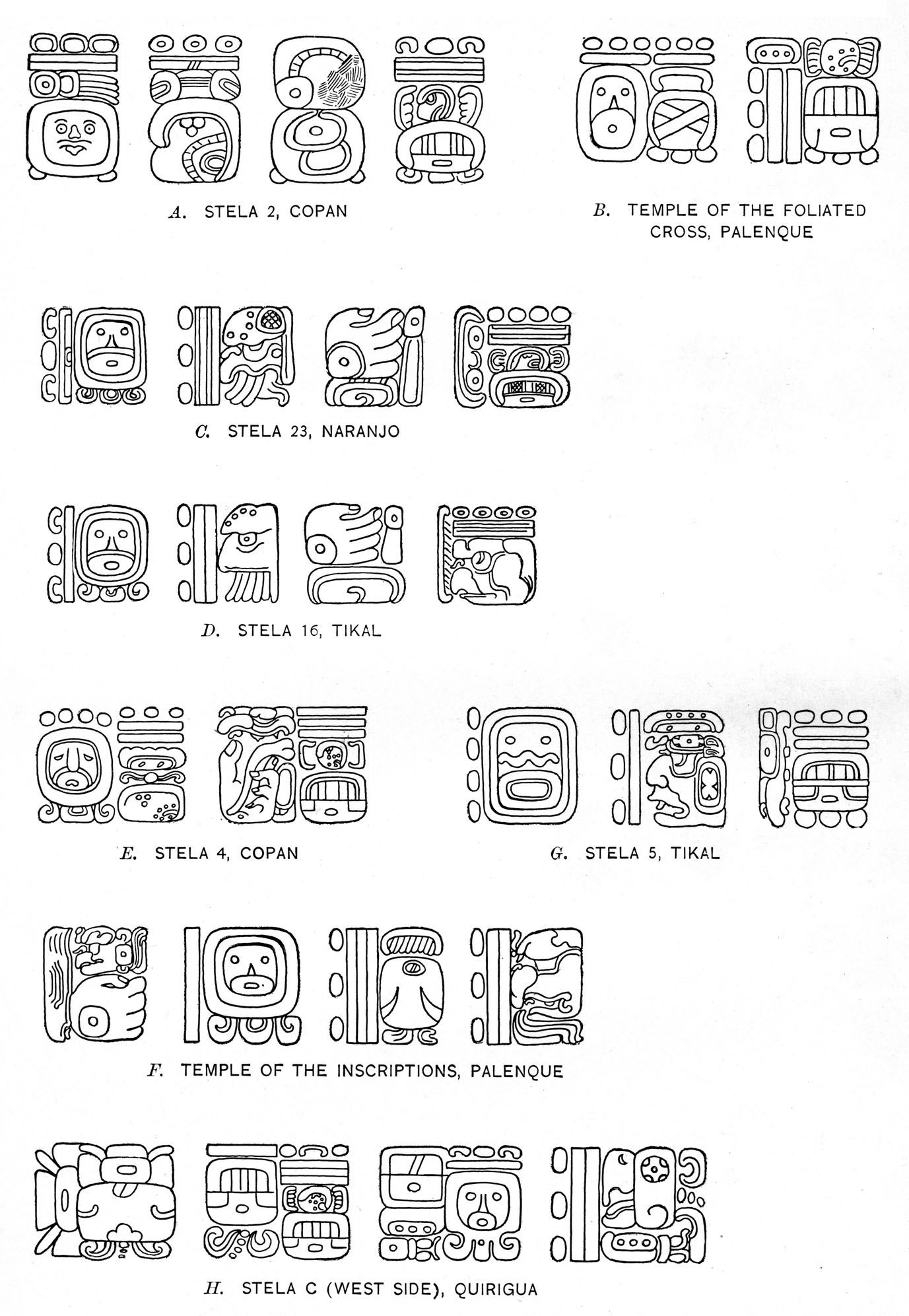 Plate 21
