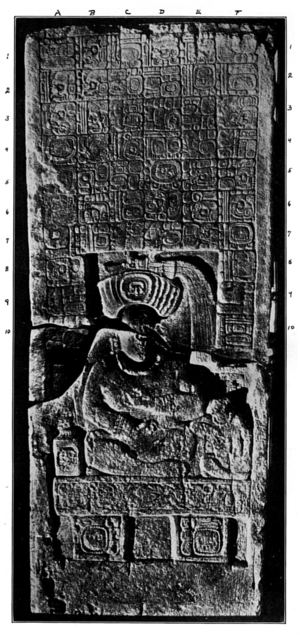 Plate 23