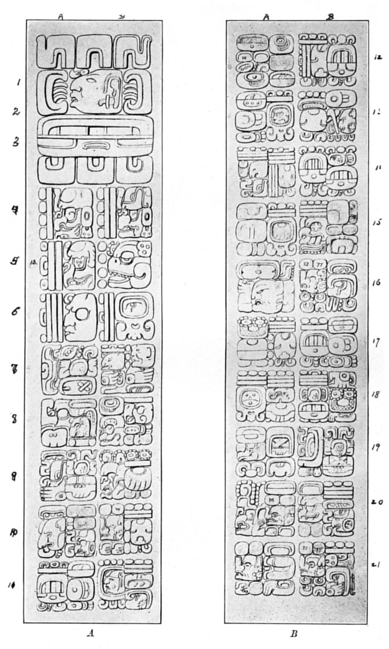 Plate 24
