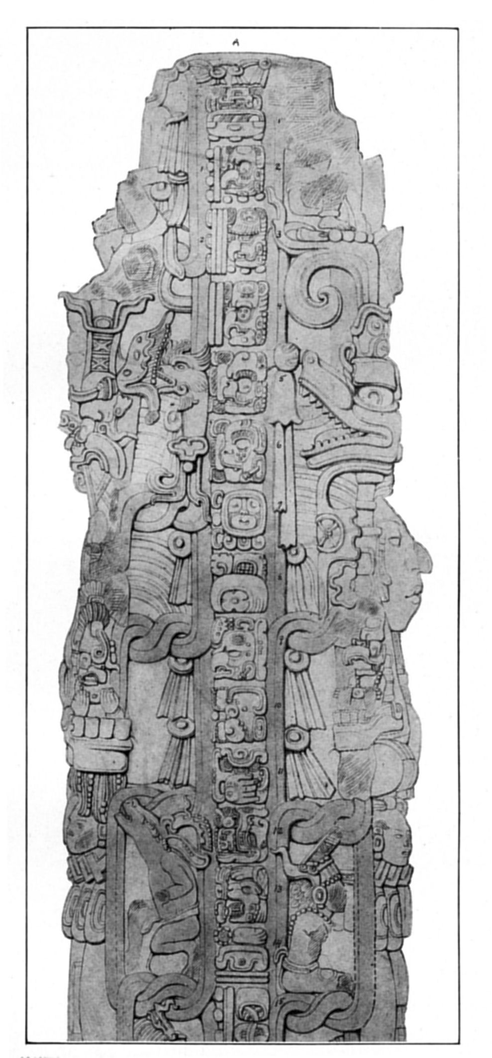 Plate 26