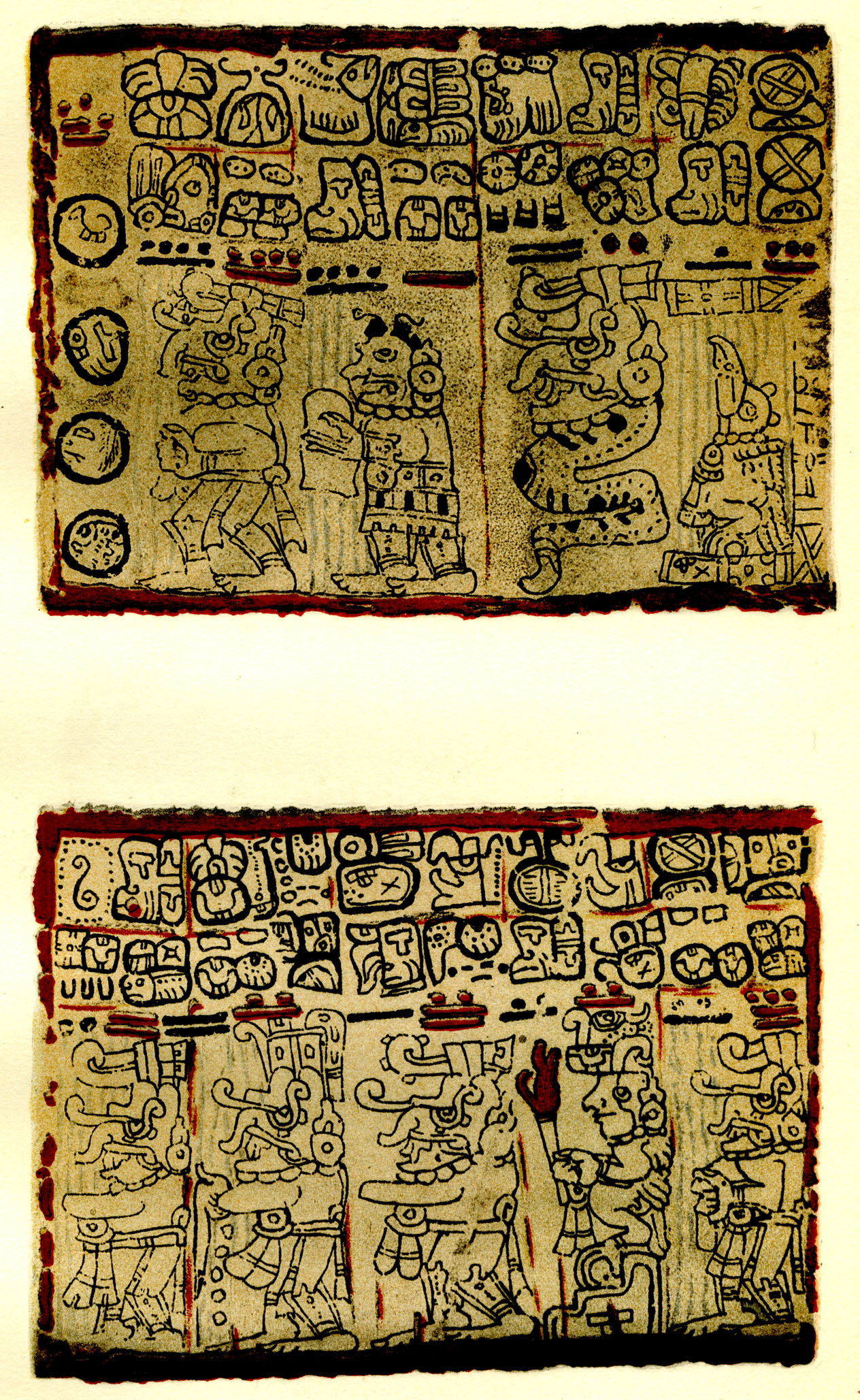 Plate 29
