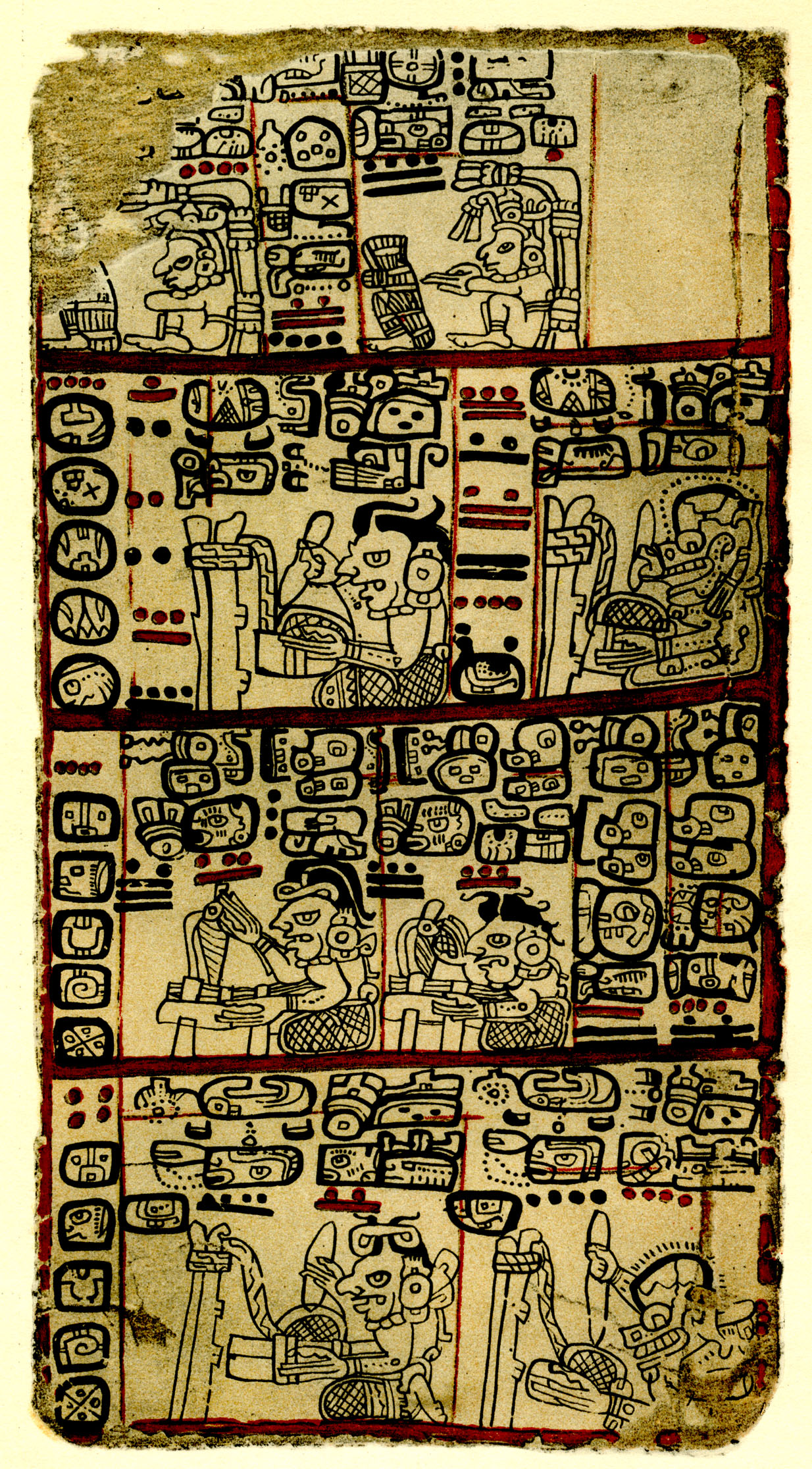 Plate 30
