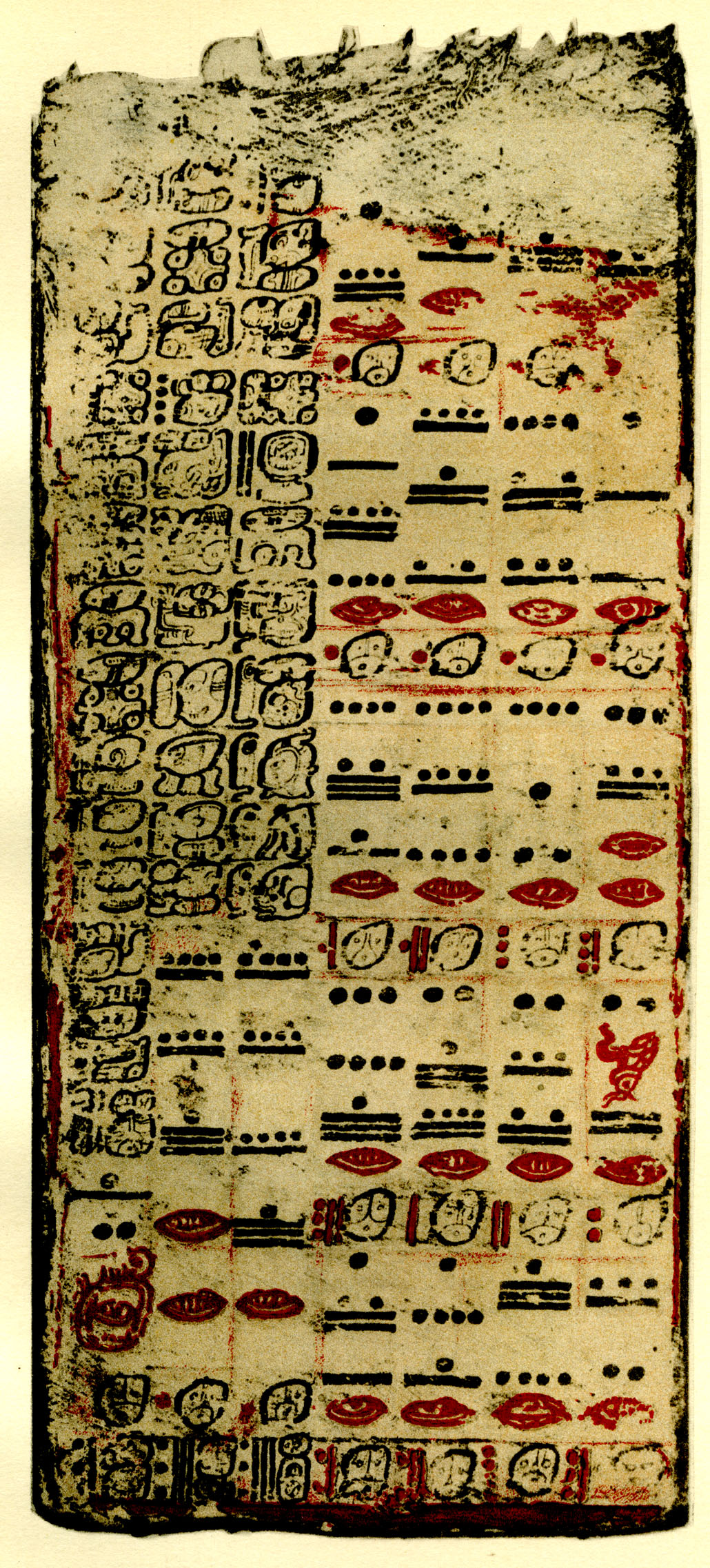 Plate 31