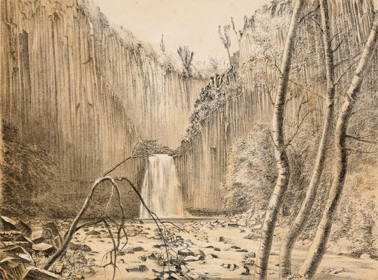 Illustration: 