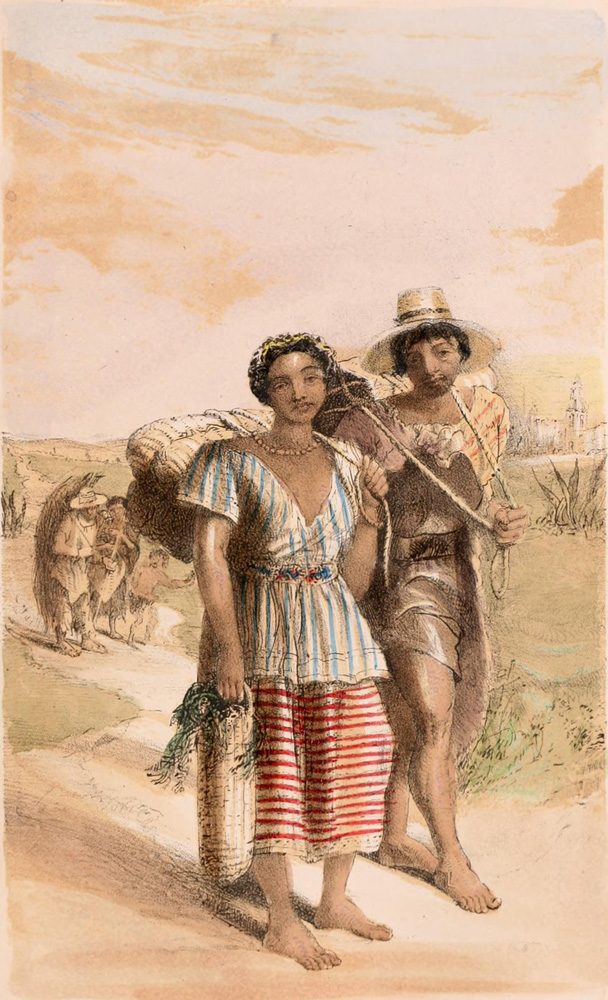 Illustration: 