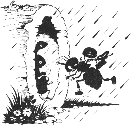 log