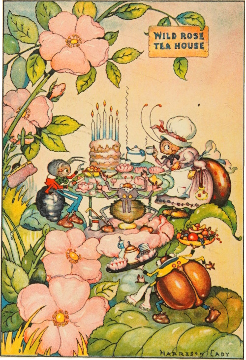 birthday