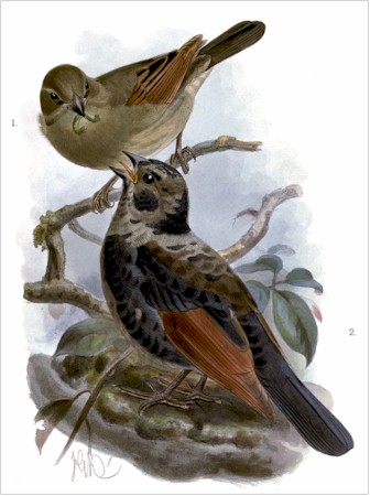 Click to enlarge.