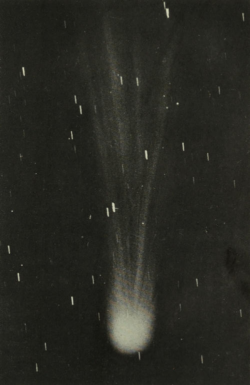 Plate XVIII.
